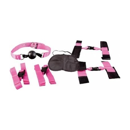 Fetish Fantasy Series Pink Passion Bondage Kit