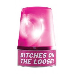 Bachelorette Party Favors Spinning Party Light 