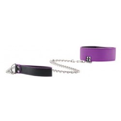 Reversible Collar with Leash - Purple 