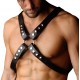 Strict Leather 4 Strap Chest Harness - Small / Medium