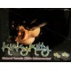 Kinky Kitty Natural Female Libido Enhancement 30 Ct Display