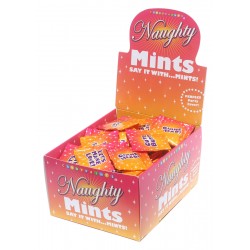 Naughty Mints Display Carton 100 3.1g Bags