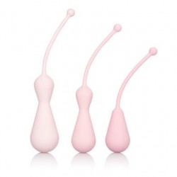 Inspire Weighted Silicone Kegel Training Kit 