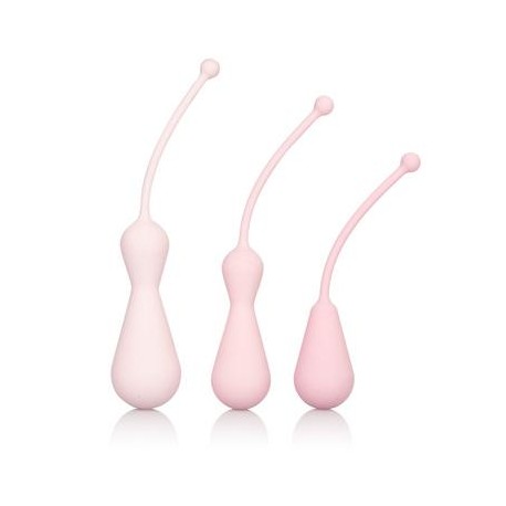 Inspire Weighted Silicone Kegel Training Kit 